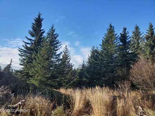17309 Kimeluk St, Ninilchik, AK, 99639 | Card Image