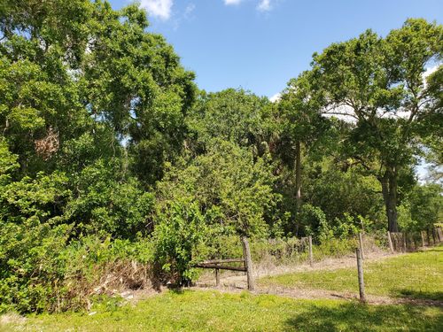 6805 Ne 2nd St, Okeechobee, FL, 34974 | Card Image