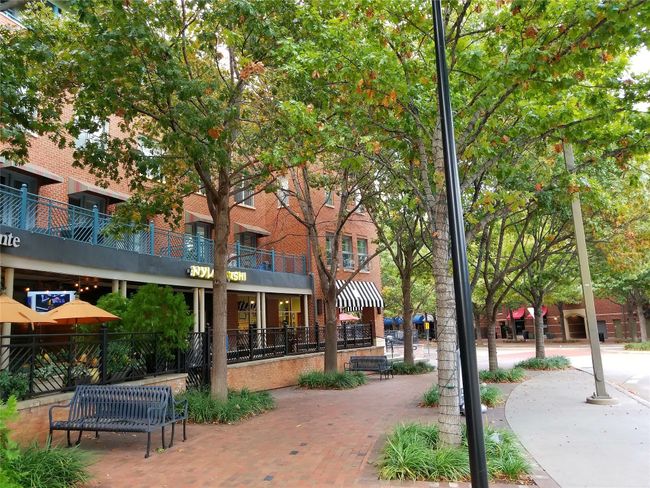 Surrounded by trees and nature in Addison circle | Image 32