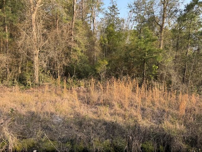 1139 Henry Walcott Rd Nw, Home with 0 bedrooms, 0 bathrooms and null parking in Ludowici GA | Image 10