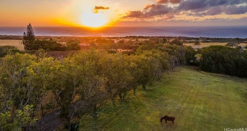 56-2864 Kawaihae-Mahukona Rd, Hawi, HI, 96719 | Card Image