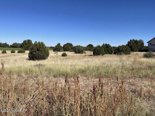 1951 Creekside Cir, Show Low, AZ, 85901 | Card Image