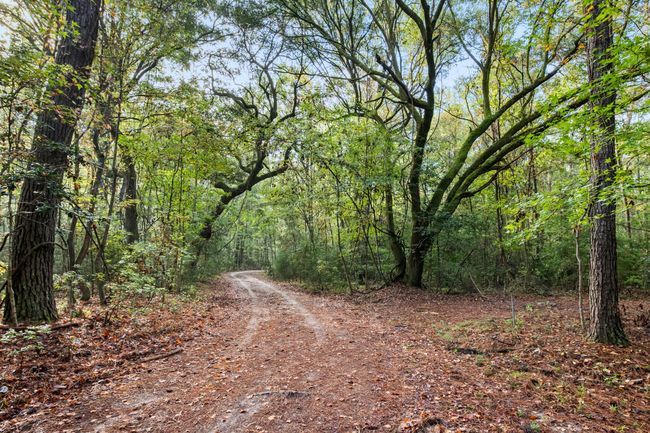 HFL_OSBORNE TRACT-15 | Image 20