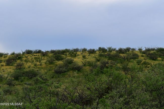 DSC_0998 | Image 25