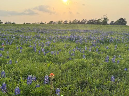 000 Krueger Rd, Bleiblerville, TX, 78931 | Card Image