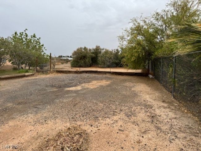 View of yard with fence | Image 6
