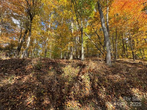 678/679 El Miner Drive, Mars Hill, NC, 28754 | Card Image