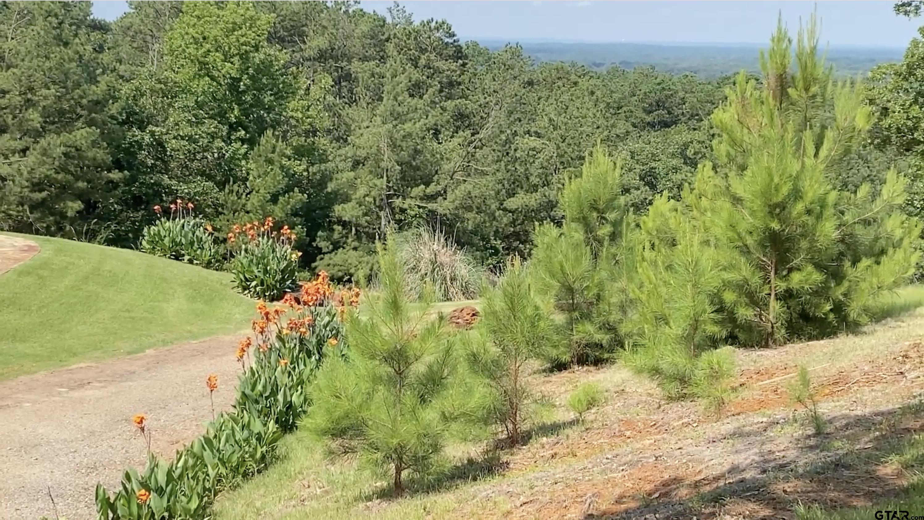 Land in Montalba 4