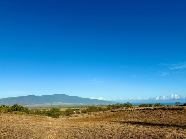 15 Apali Way, Home with 0 bedrooms, 0 bathrooms and null parking in Kula HI | Image 5