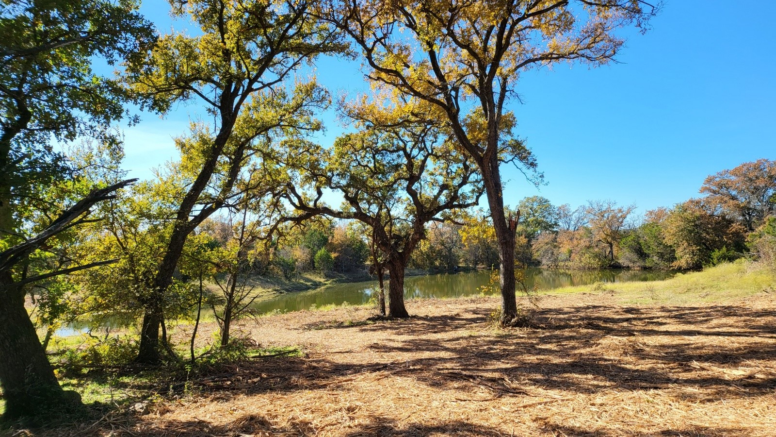 Land in Palo Pinto 5