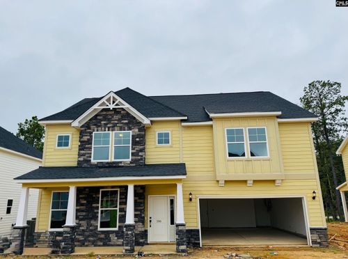 306 Rising Stream Way, Chapin, SC, 29036 | Card Image