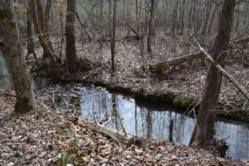 87+/-ac Boles Rd, Hilham, TN, 38568 | Card Image