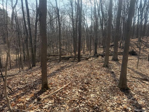 V/L Fulton, Fremont Township, MI, 48744 | Card Image