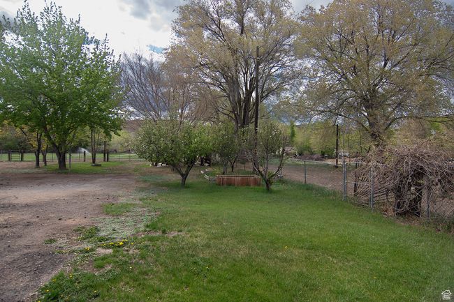 View of yard | Image 37