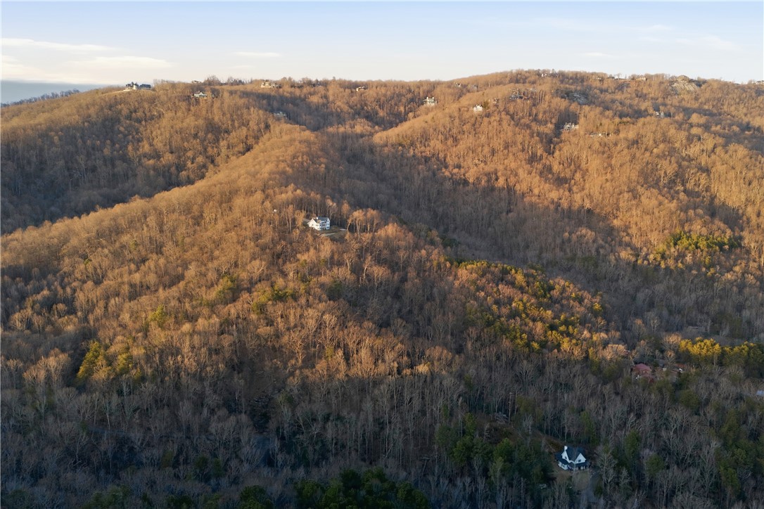 Land in Landrum 5