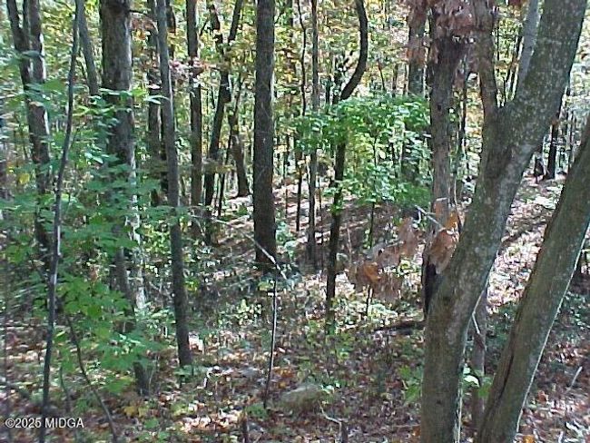 10 | Image 10
