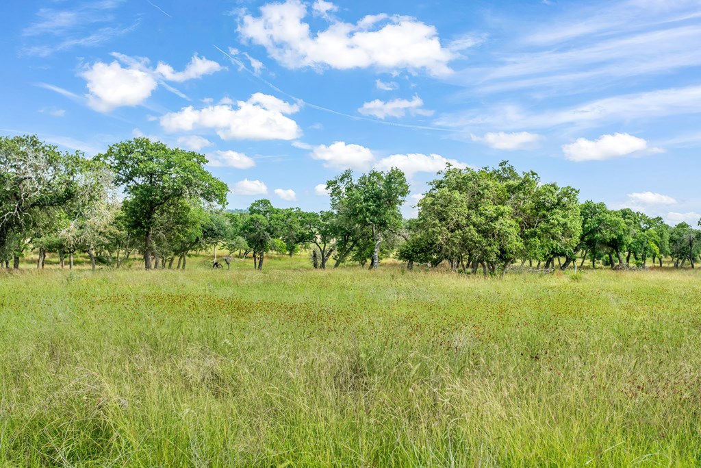 Land in Fredericksburg 2