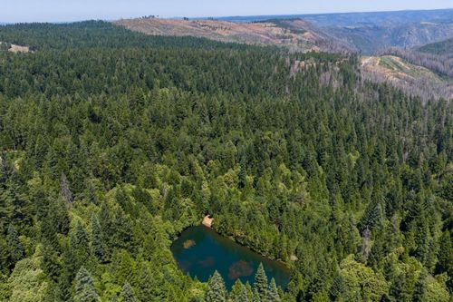 10075 White Fir Rd, Georgetown, CA, 95634 | Card Image