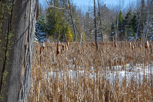 160-acre Pleasant Lake Rd, Home with 0 bedrooms, 0 bathrooms and null parking in Upson WI | Image 12