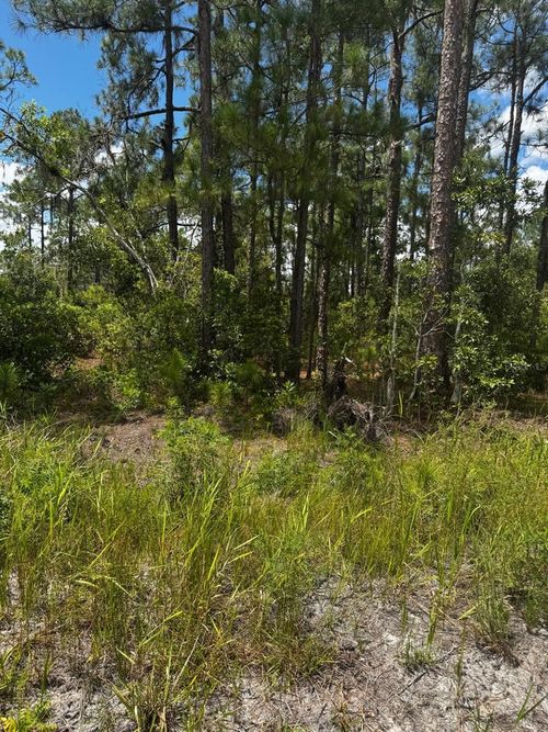 6-6 Mcclellan Rd, FROSTPROOF, FL, 33843 | Card Image