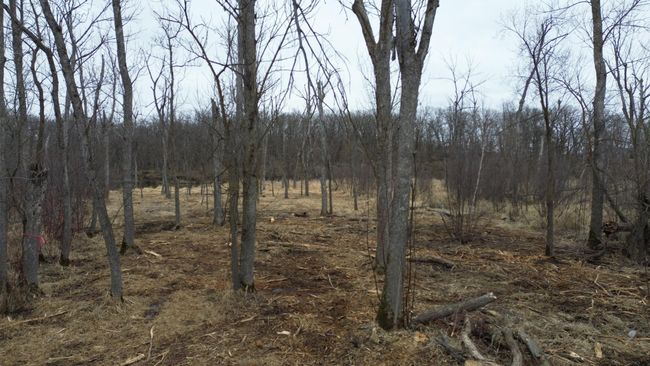 39 Sandy Ln, Home with 0 bedrooms, 0 bathrooms and null parking in Perham MN | Image 11