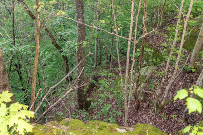 0 Middle Ridge Rd, Home with 0 bedrooms, 0 bathrooms and null parking in Beersheba Springs TN | Image 14