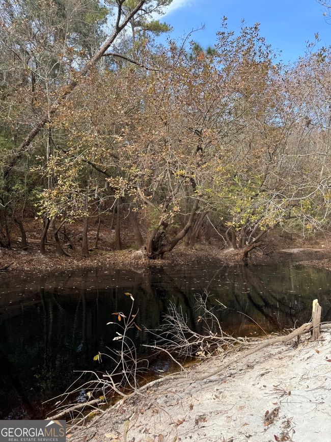 0 Highway 185, Home with 0 bedrooms, 0 bathrooms and null parking in Saint George GA | Image 55