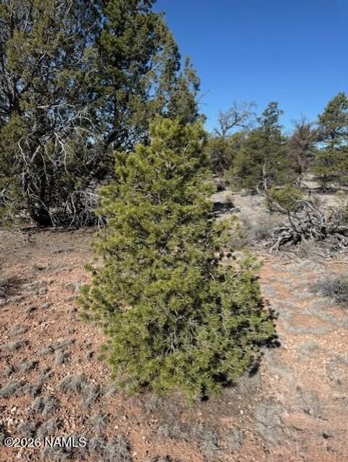 5752 N Hidden Ranch Rd, Williams, AZ, 86046 | Card Image