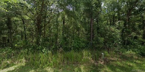 305 N Fitzpatrick Ave, Inverness, FL, 34453-9430 | Card Image