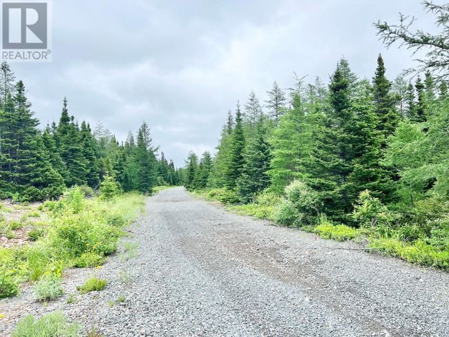 146520 Constance, Home with 2 bedrooms, 1 bathrooms and null parking in Millertown Junction NL | Image 16