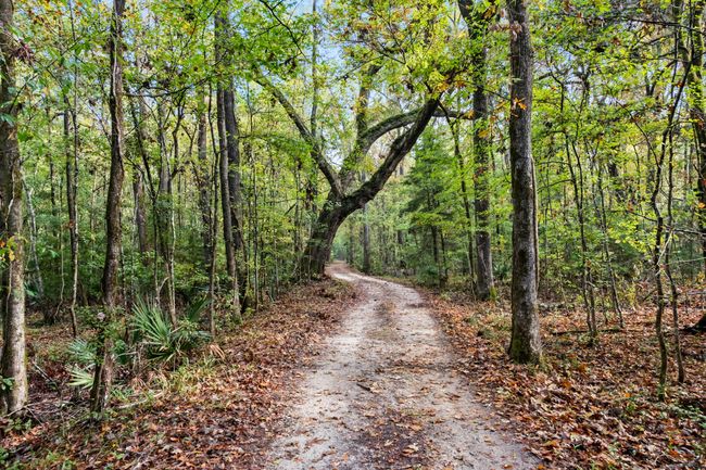 HFL_OSBORNE TRACT-10 | Image 16