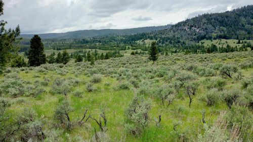 lot-2-NHN Moose Lake Road, Philipsburg, MT, 59858 | Card Image