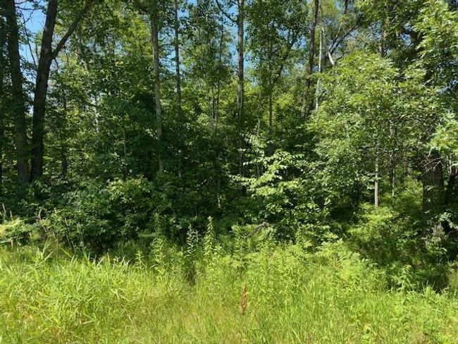 11 Scenic Overlook, Home with 0 bedrooms, 0 bathrooms and null parking in Breezy Point MN | Image 10