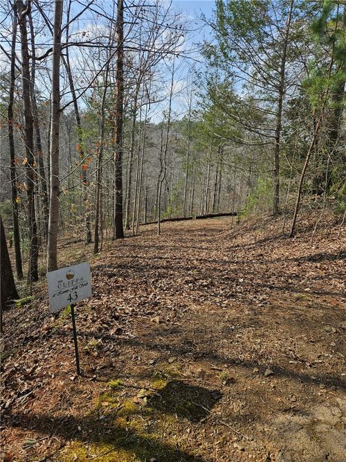 Lot 43 C@KFS High Ridge Deerchase Court, Salem, SC, 29676 | Card Image