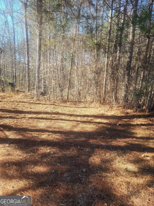 1385 Pebble Ridge Dr, Hampton, GA, 30228-4415 | Card Image