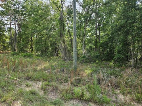 TBD Ne 153rd Ave, WILLISTON, FL, 32696 | Card Image