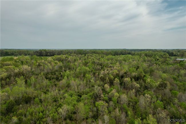 View of landscape featuring a wooded view | Image 19