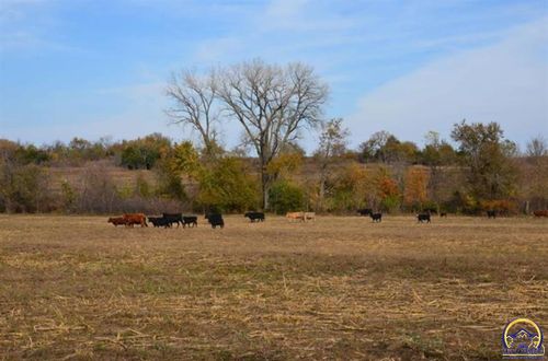 00000 S Berryton Rd, Lyndon, KS, 66451 | Card Image