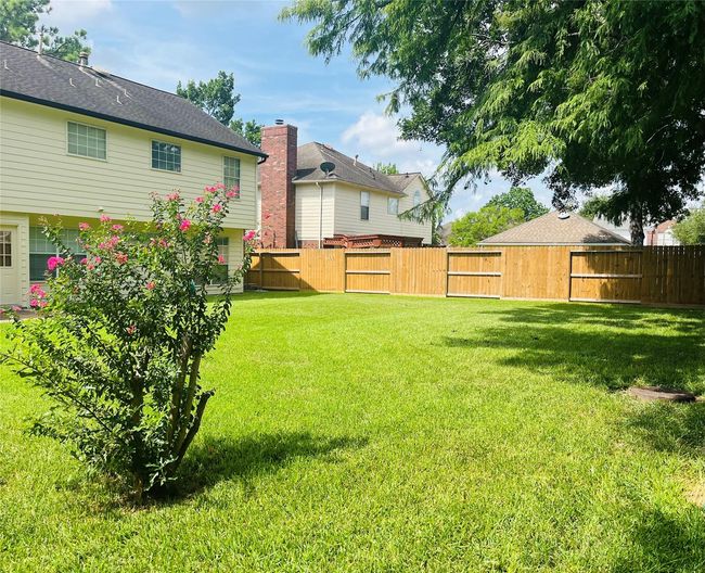 BACKYARD | Image 10