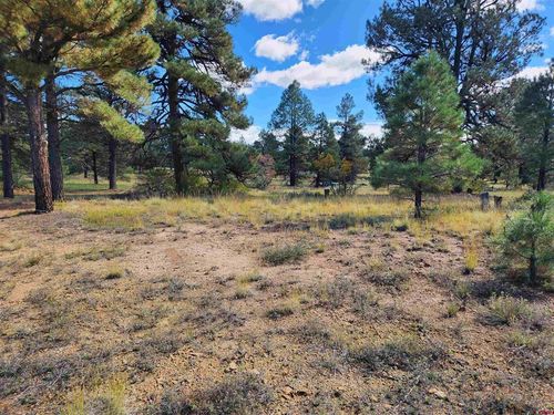 144 Mansions Cir, Pagosa Springs, CO, 81147 | Card Image