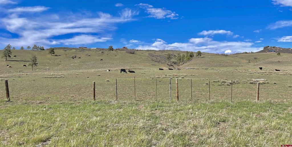 Land in Pagosa Springs 2