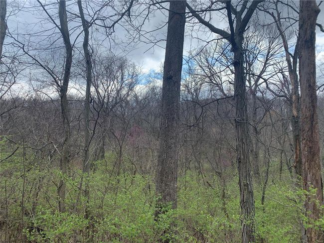 View of landscape | Image 8