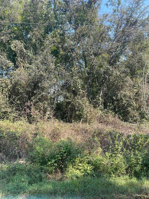 TBD County Road 3510, Leesburg, TX, 75451 | Card Image