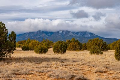 48 Three Sisters, Home with 0 bedrooms, 0 bathrooms and null parking in Cerrillos NM | Image 2