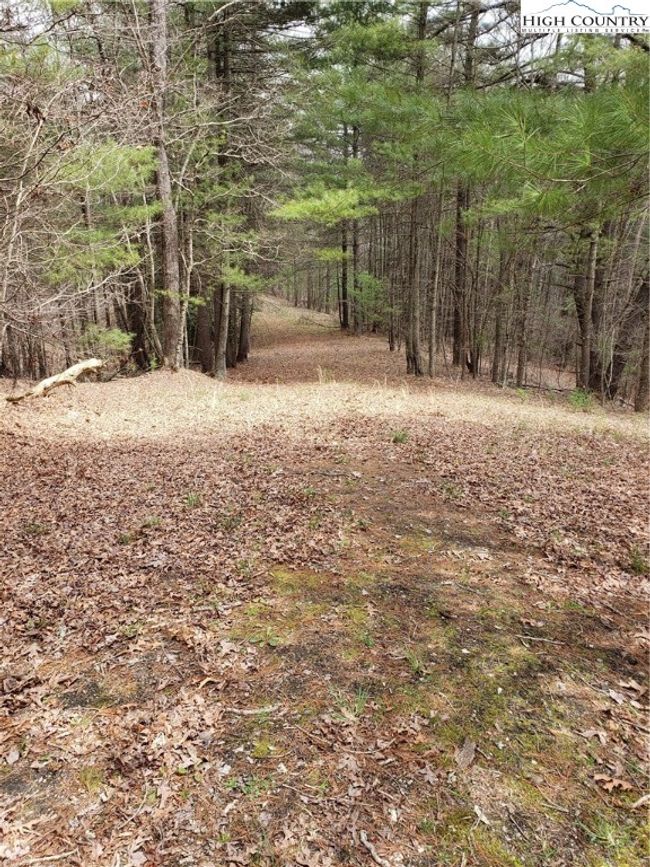 Primary access road on property | Image 14