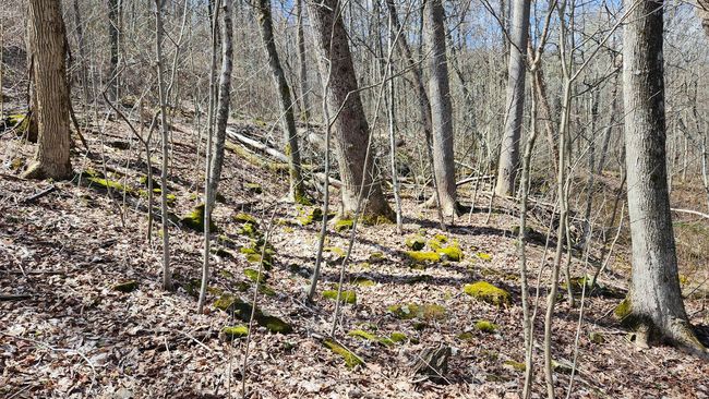TRACT-1-PIKE-LAKE-GETAWA - 0 Pike Lake Rd, Home with 0 bedrooms, 0 bathrooms and null parking in Bainbridge OH | Image 32