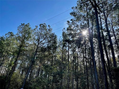 6 +/- Acs County Road 3400, Colmesneil, TX, 75938 | Card Image