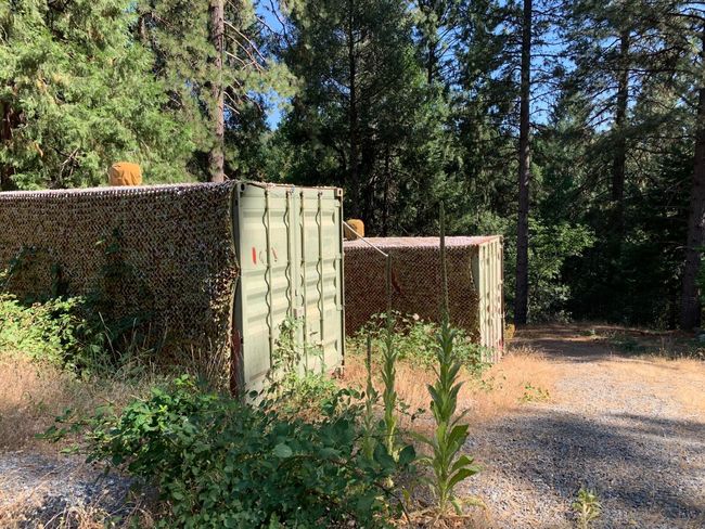 5727 Starkes Grade Rd, Home with 0 bedrooms, 0 bathrooms and null parking in Pollock Pines CA | Image 7