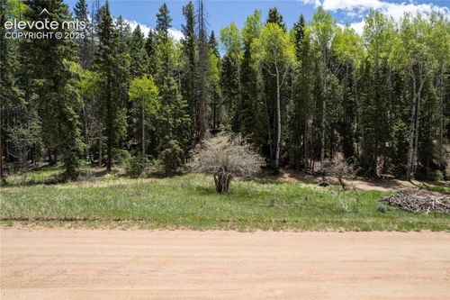 546 Spring Valley Ln, Florissant, CO, 80816 | Card Image