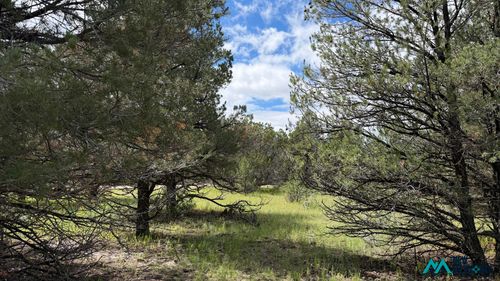 3-85 Largo Canyon Loop, Quemado, NM, 87829-7005 | Card Image